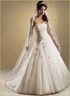 Lovely Winter Wedding DressesWinter Wedding Dresses
