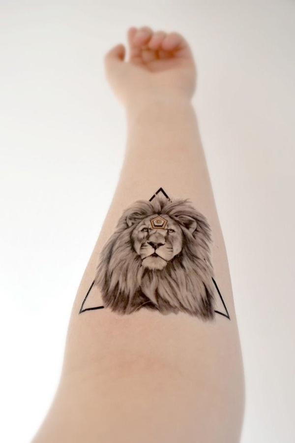 lion-and-triangle